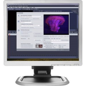 motu-dp8-monitor-3