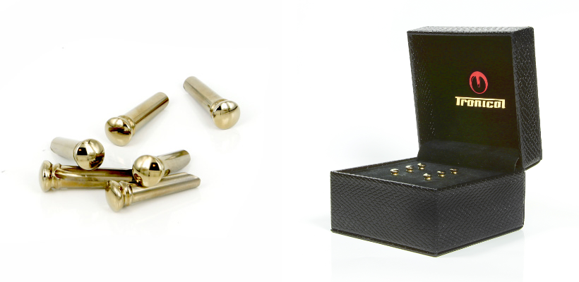 tronical-pin-gold